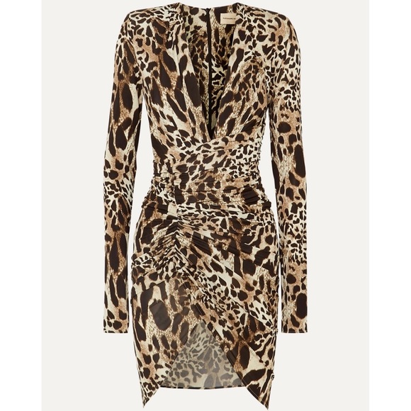 Ruched jersey animal print dress - Picture 1 of 3